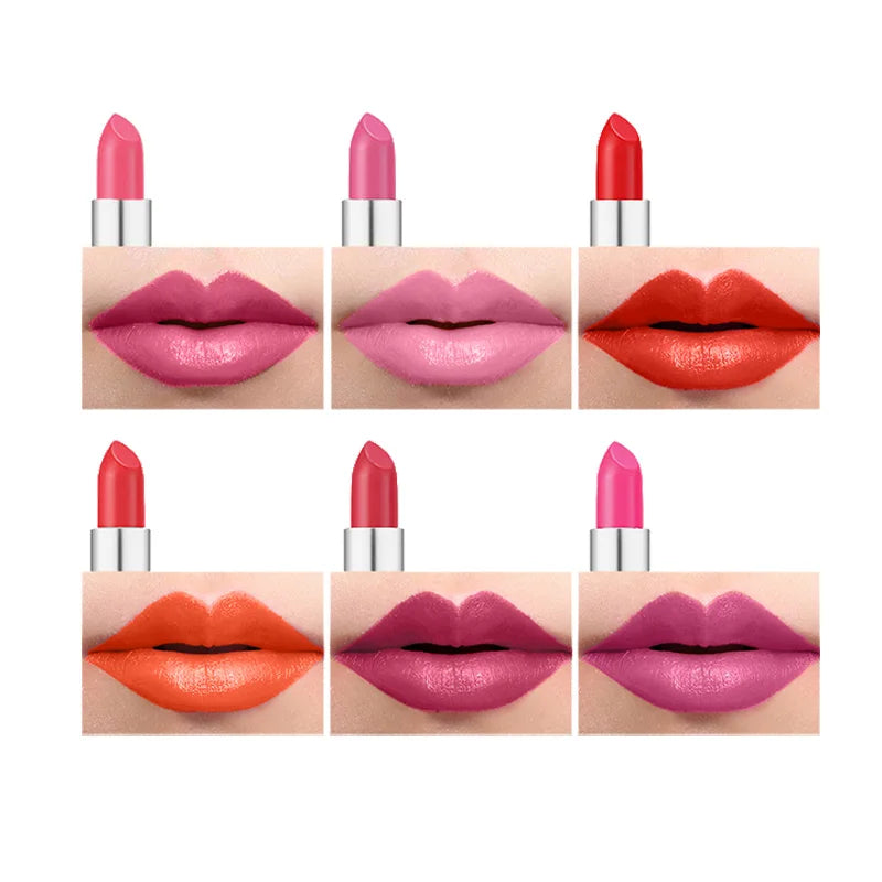 Lasting Waterproof Pigments Sexy Rich Colors Lip Tint 12 Matte Colors Lipstick